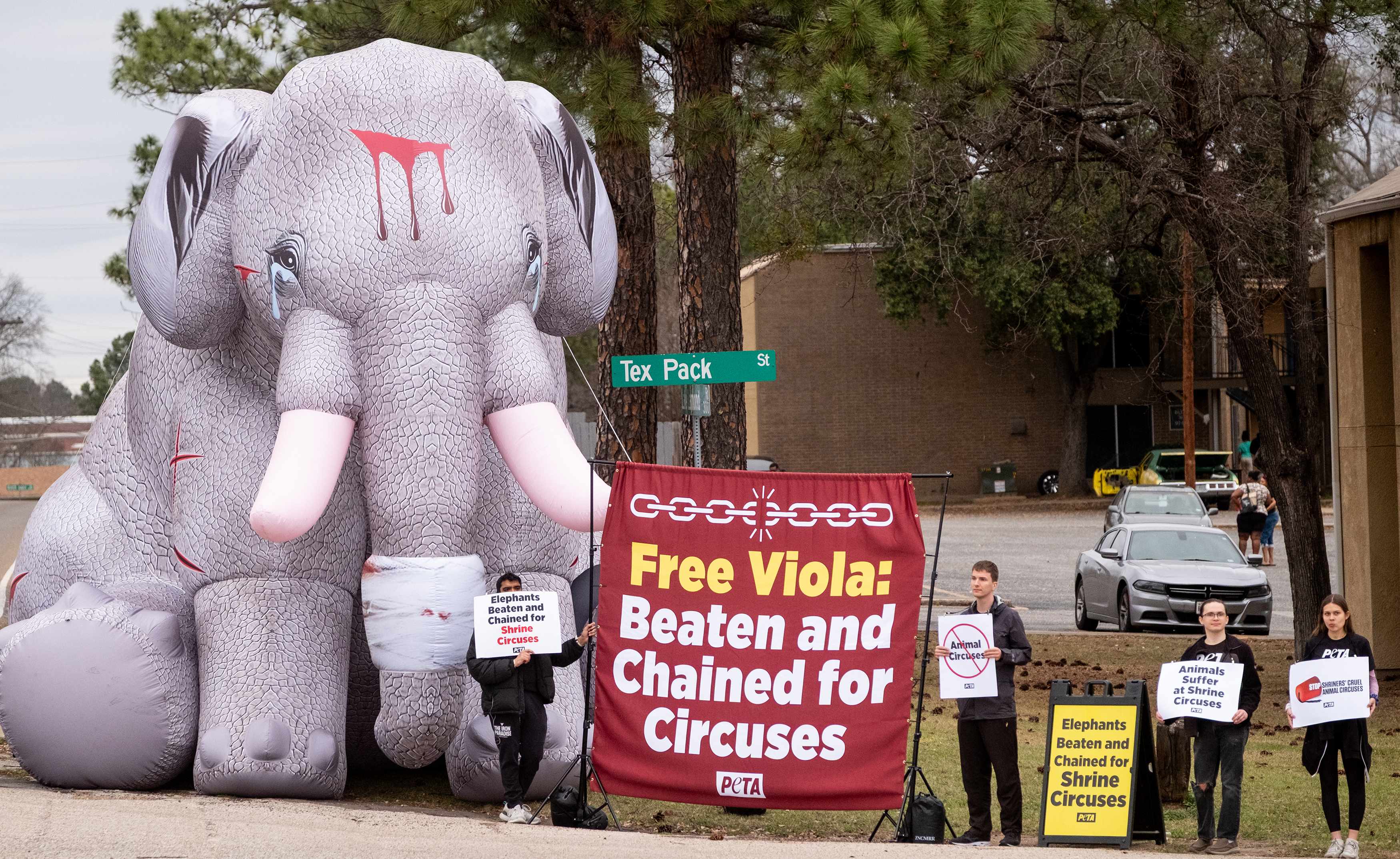 Circus protest.