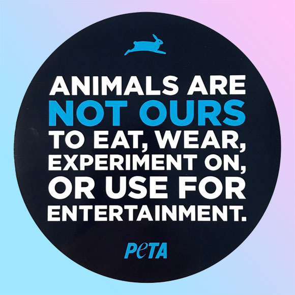 PETA Motto Sticker
