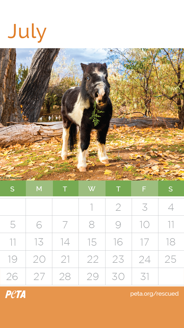 Join PETA's Investigations and Rescue Fund! | PETA.org/Rescued Join PETA's Investigations and Rescue Fund! | PETA.org/Rescued