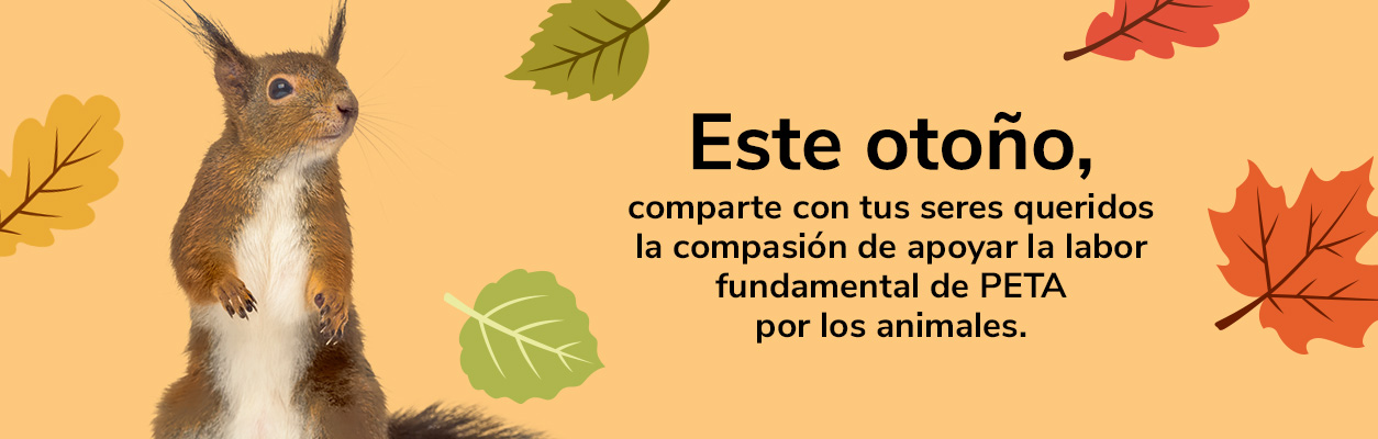 Este otoño,comparte con tus seres queridos la compasión de apoyar la labor fundamental de PETA
por los animales.