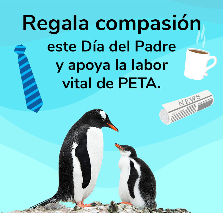 Regala compasión este Día del Padre y apoya la labor vital de PETA.