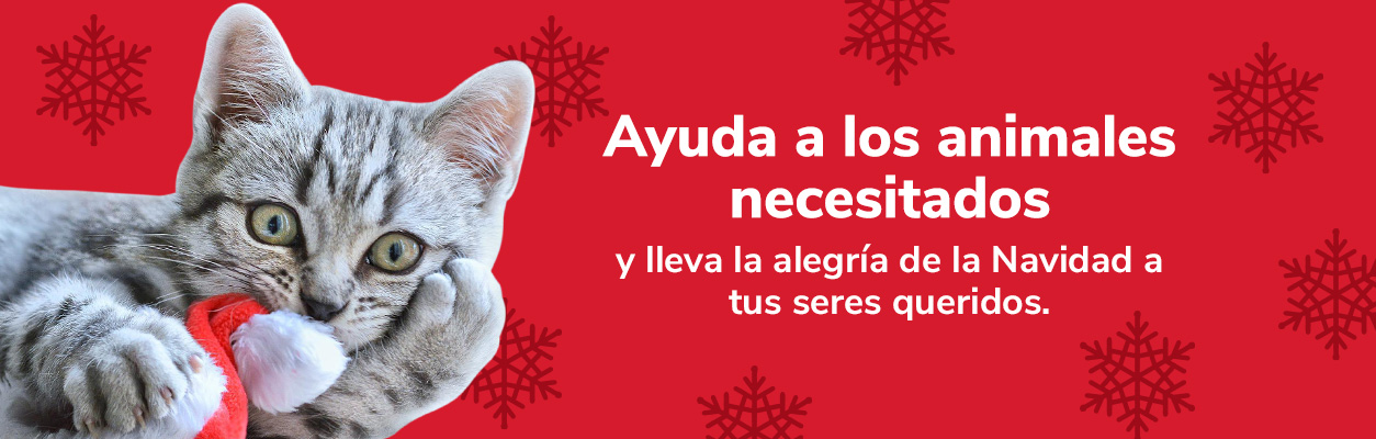 Ayuda a los animales
necesitados y lleva la alegría de la Navidad a tus seres queridos.