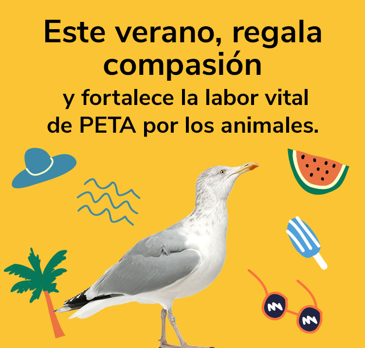 Este verano, regala compasión y fortalece la labor vital de PETA por los animales.