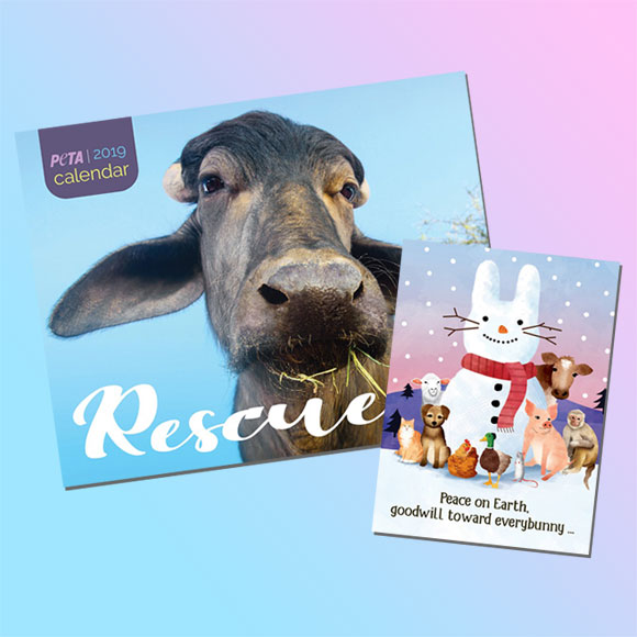 Rescued Calendar and Holiday Card Set