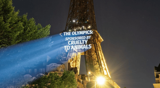 Eiffel Tower with text projected onto it