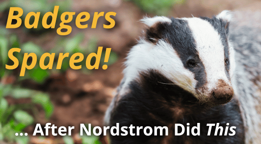 badger with the words badgers spared after Nordsrom did this