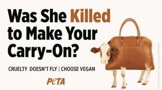 billboard with a cow made into a carry on with the words was she killed to make your carry on