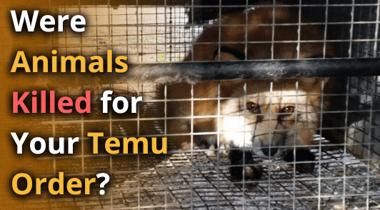 fox on fur farm and the words were animals killed for your Temu order
