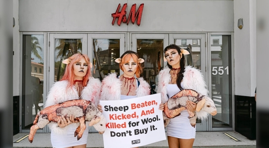 women dresssed up as bloodied sheep with a sign reading sheep beaten kicked and killed for wool dont buy it