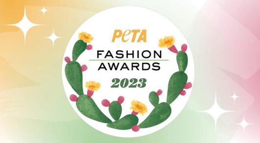 vegan fashion awards graphic with cactus drawing
