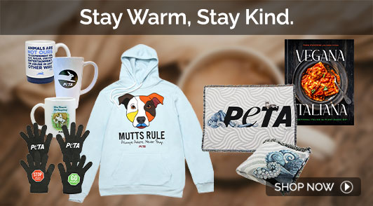 collage of winter merchandise with the words stay warm stay kind