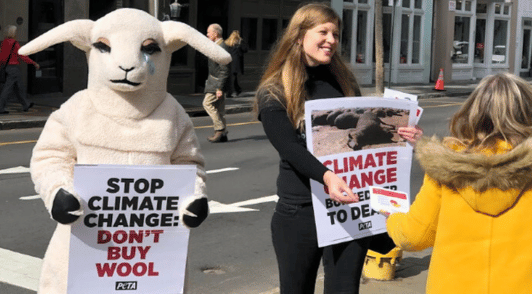 woman handing out leaflets next to person dressed as a crying sheep