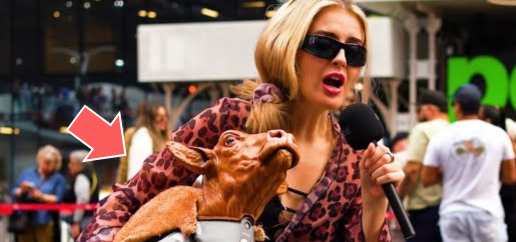 woman holding Charli the cow