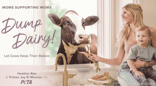 Heather Rae El Moussa holding her son and feeding carrots to a cow