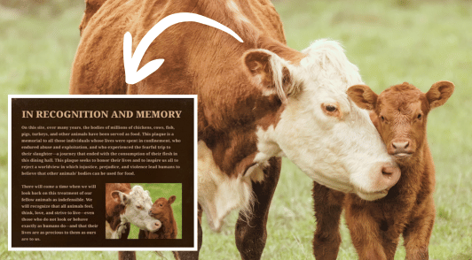 cow with calf in grass