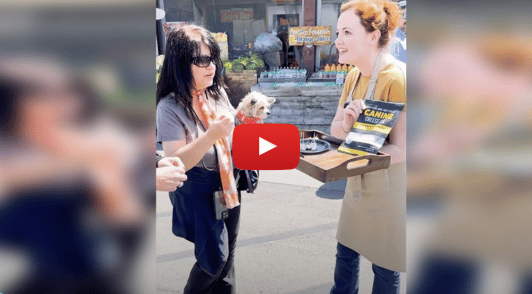 dog cheese reaction video