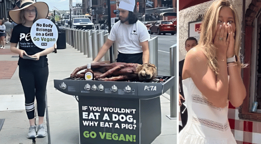 dog grill demo with woman covering face with hands