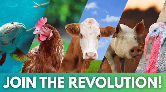 collage of animals with the words join the revolution