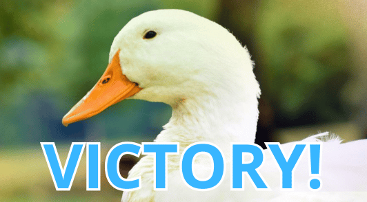 duck with the word victory