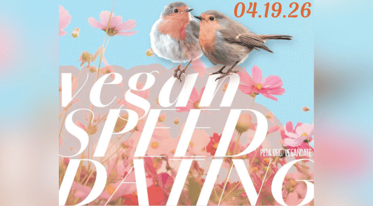 two birds with the words vegan speed dating on a background of pink flowers