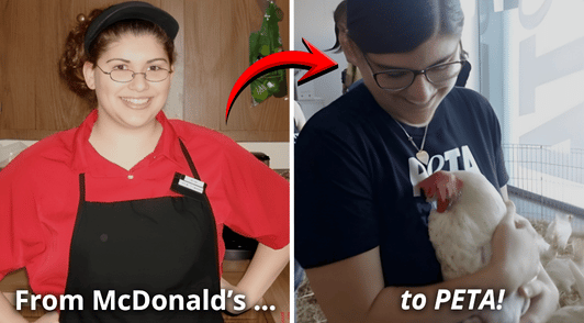 woman at McDonalds then at PETA holding hen