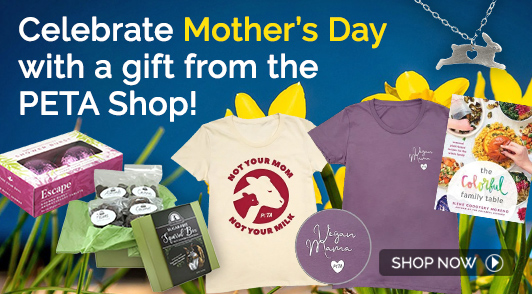 mothers day merch collage