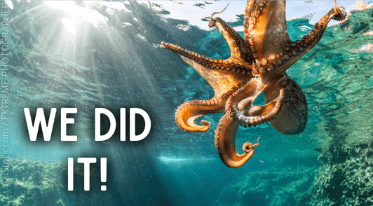 octopus with the words we did it