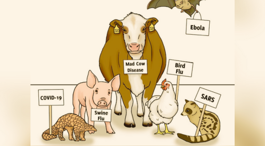 drawing of various animals holding pandemic signs