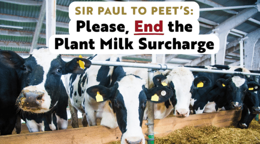 cows on farm with the words Sir Paul to Peets Please end the plant milk surcharge