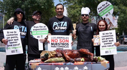 PETA Latino bbq dog demo