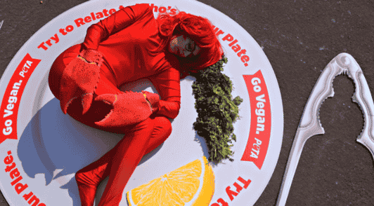 person dressed up as a lobster on someones dinner plate with the words go vegan