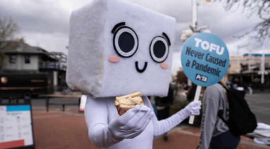 Person dressed in tofu costume giving out free food