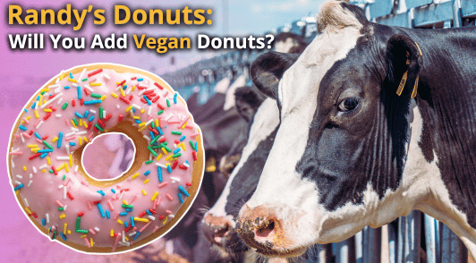 cow eating on farm next to a donut and the words randys donuts will you add vegan donuts