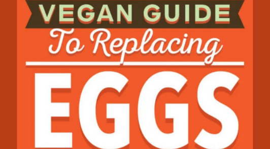 vegan guide to replacing eggs orange banner