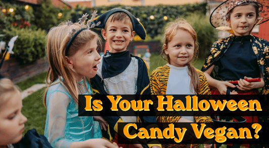 Kids eating candy with the words is your Halloween candy vegan