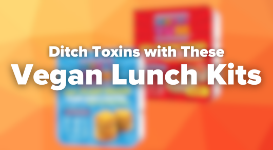 vegan lunch kits