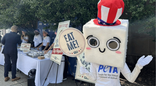 person dressed up as tofu with the words eat me