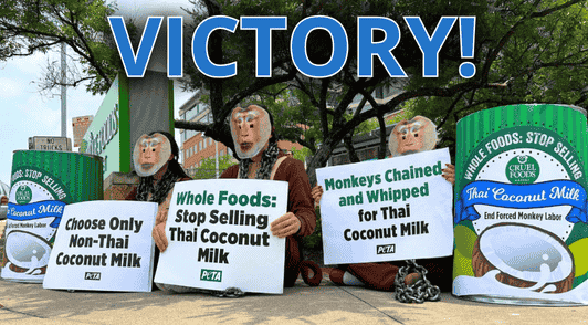 Whole Foods demo with people dressed up as monkeys in chains
