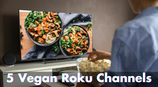 person eating popcorn and watching vegan food on tv