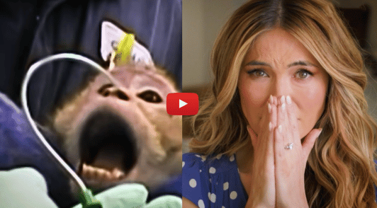 Chrishell Stause next to image of monkey in laboratory having tube put up nose