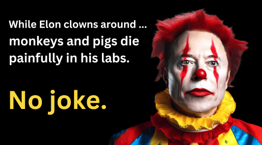 Elon Musk depicted as a clown