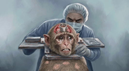 illustration of monkey in laboratory with an experimenter behind him