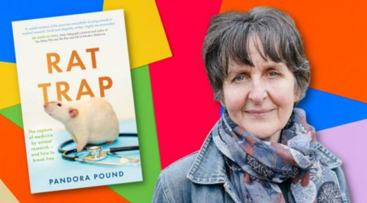 the book Rat Trap next to the author on a bright geometrical patterned background