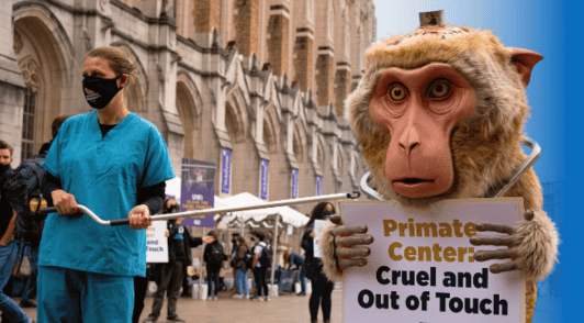 UW protest with promate holding sign reading primate center cruel and out of touch