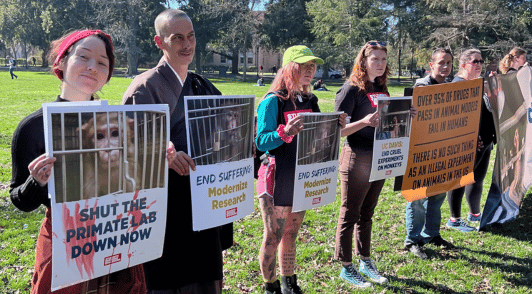 students protesting animal testing