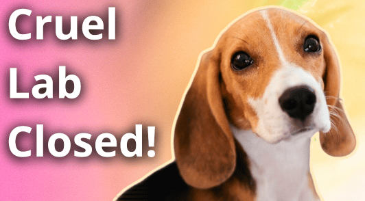 beagle next to the words cruel lab closed