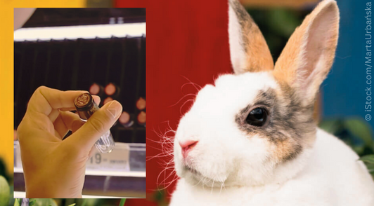rabbit next to image of person holding makeup