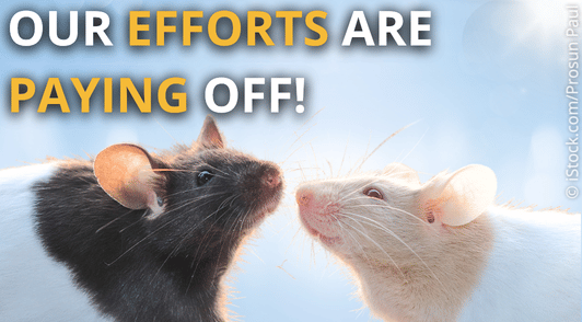 two mice with the words out efforts are paying off