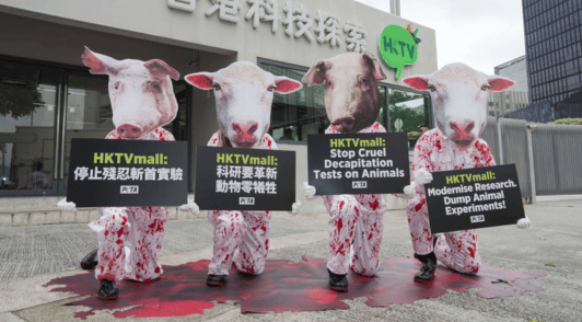 people dressed as bloodied sheep and pigs in front of a store