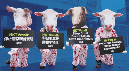 people dressed as animals holding signs in front of HKTV